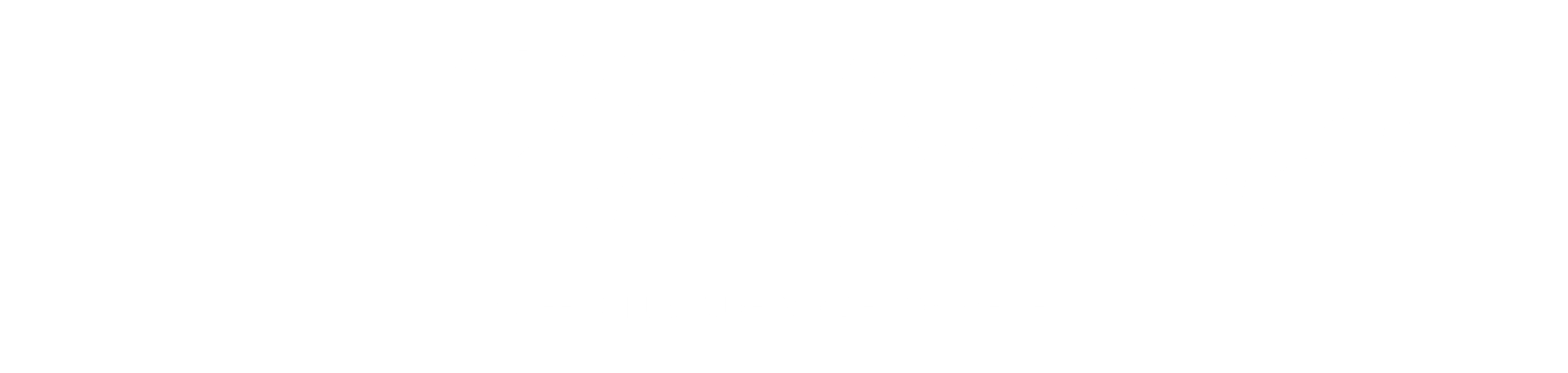 Logo-imapreneure-blanc-S