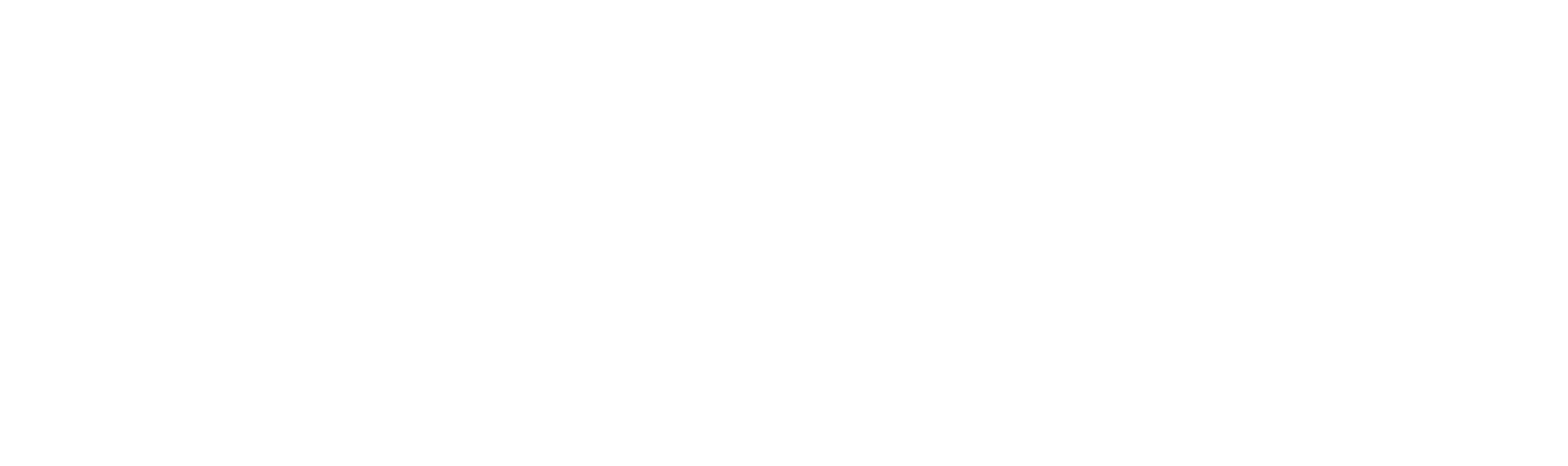Logo-imastart-blanc-S